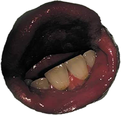 a mouth