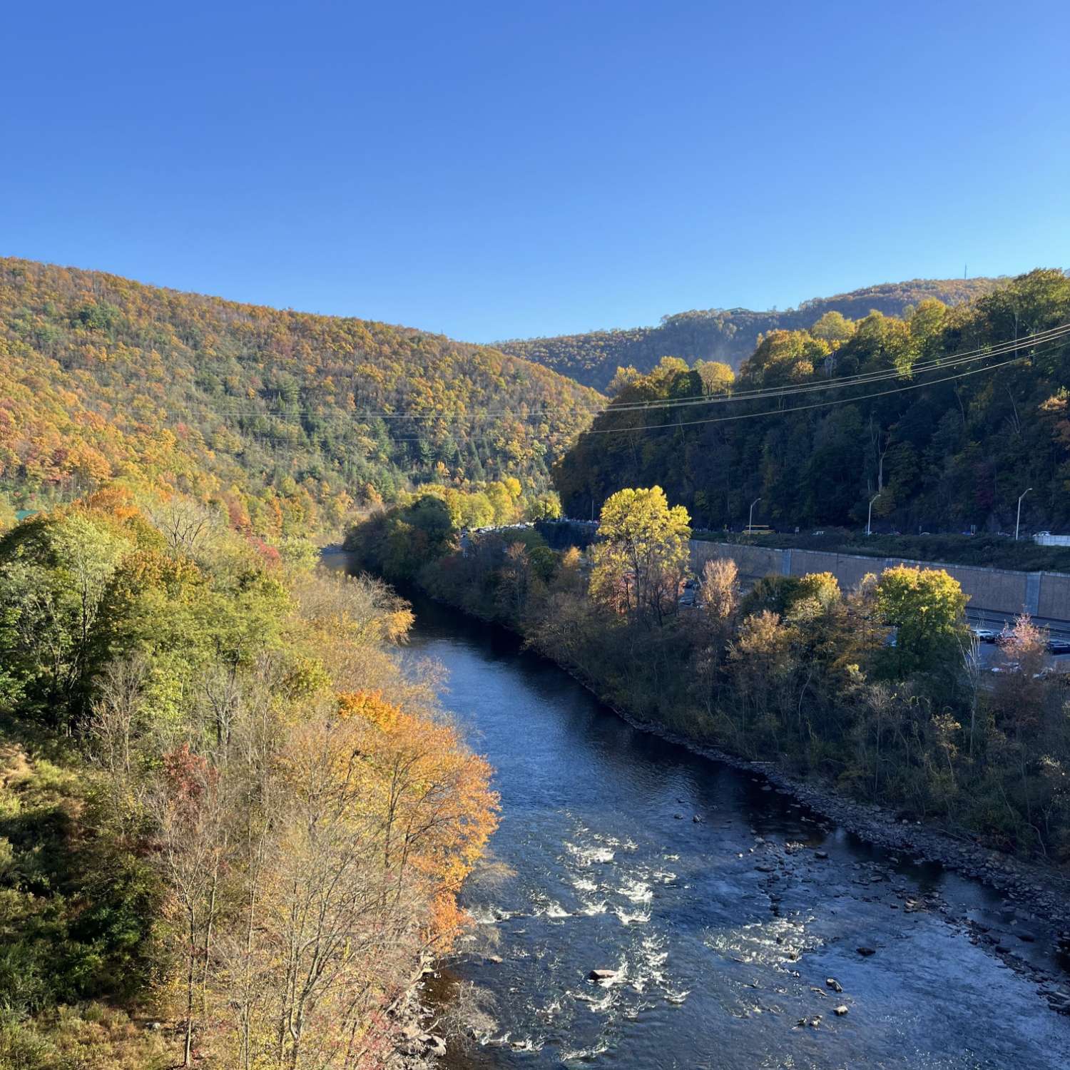 a photo of a bubbling river, surrounded by trees adorned by crisp fall leaves